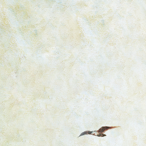 激情男女做爱视频
